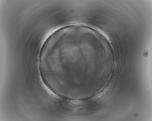 X0000091491239200709061854