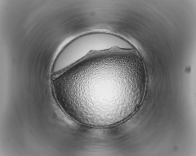 X0000091491240200709061854