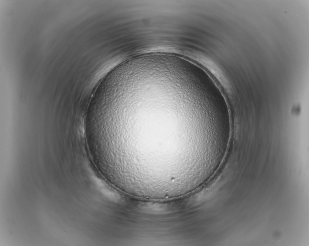 X0000091491241200709061854