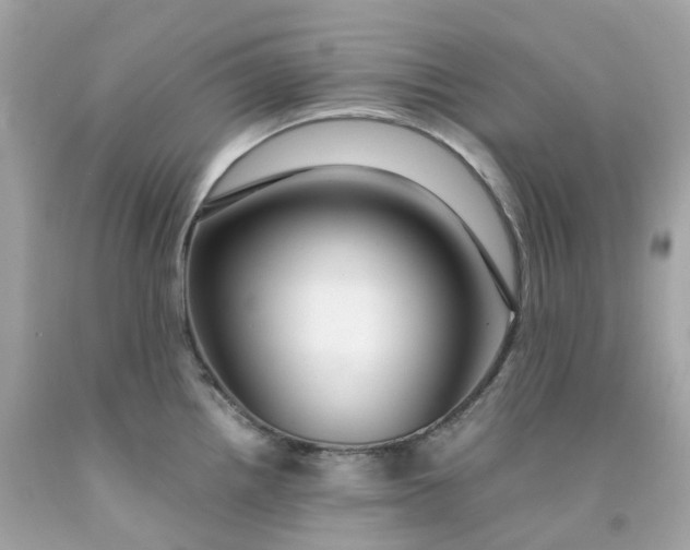 X0000091491242200709061854