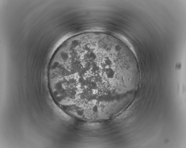 X0000091491243200709061854