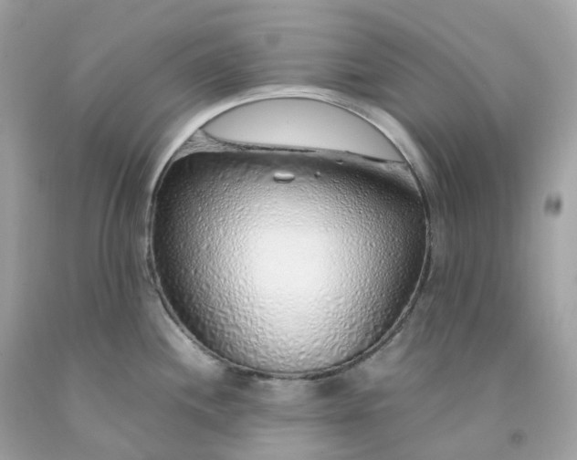 X0000091491244200709061854