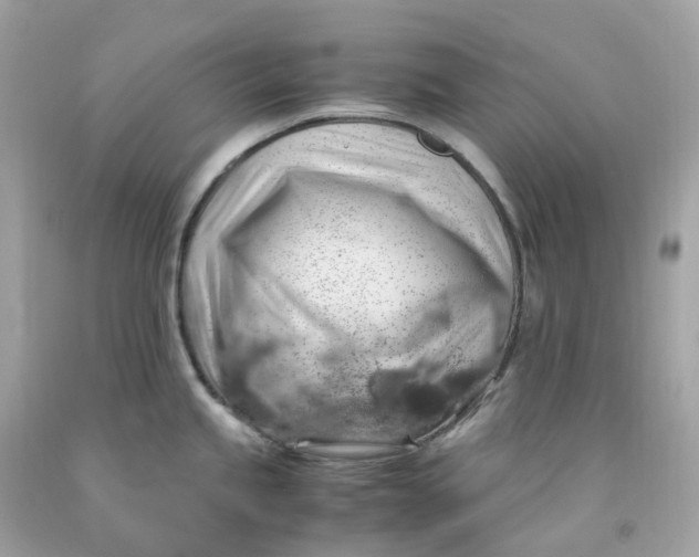 X0000091491245200709061854