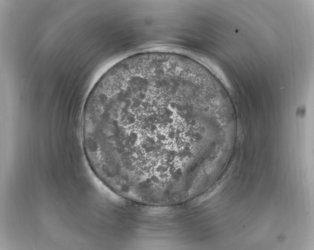 X0000091491247200709061854