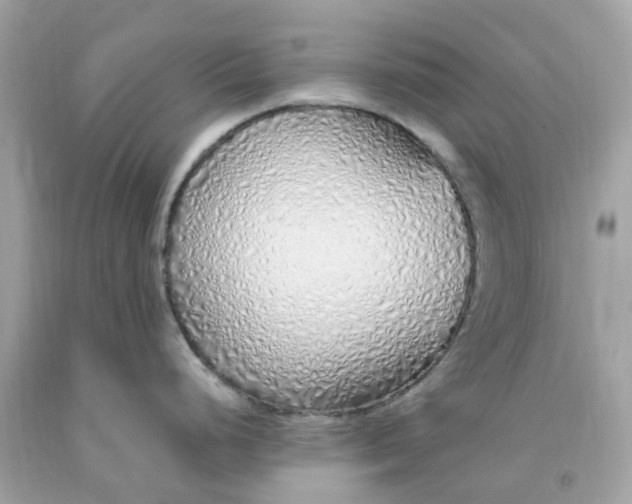 X0000091491248200709061854