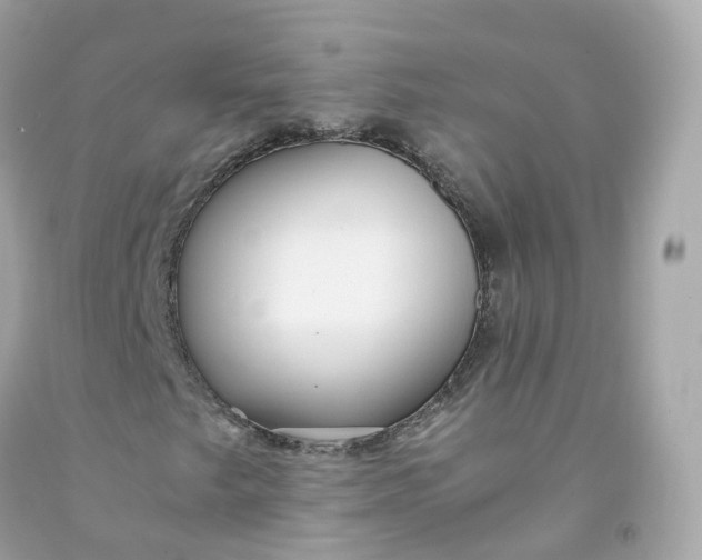 X0000091491249200709061853