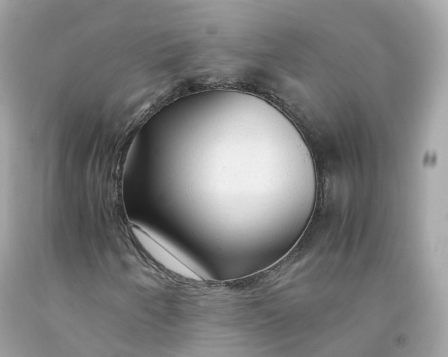 X0000091491250200709061853