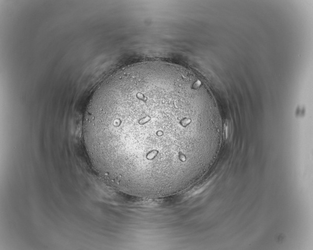 X0000091491251200709061853