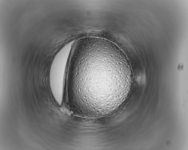 X0000091491252200709061853