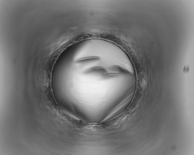 X0000091491253200709061853