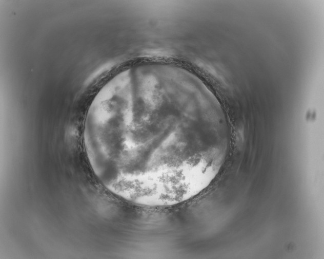 X0000091491254200709061853