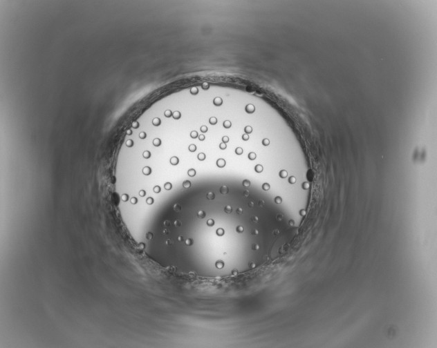 X0000091491255200709061853