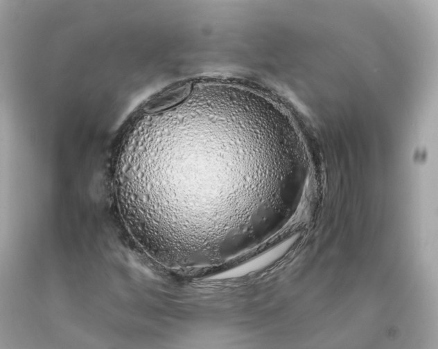 X0000091491256200709061853