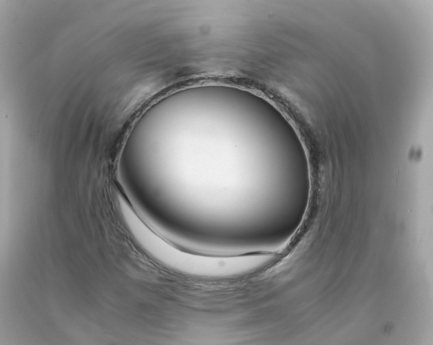 X0000091491257200709061853