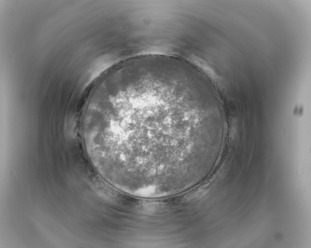 X0000091491258200709061853