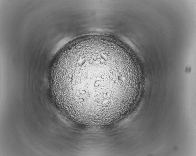 X0000091491259200709061853