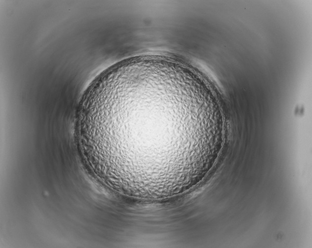 X0000091491260200709061853