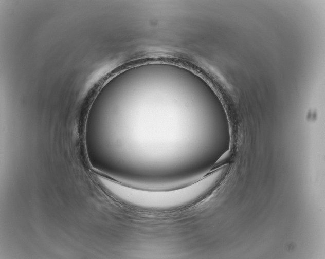 X0000091491261200709061853