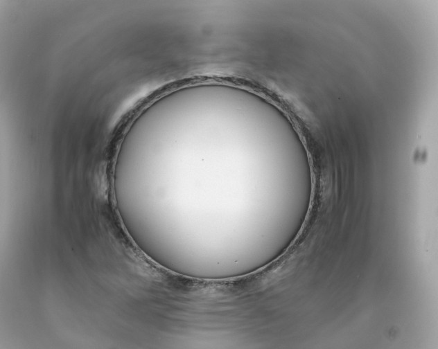 X0000091491262200709061853