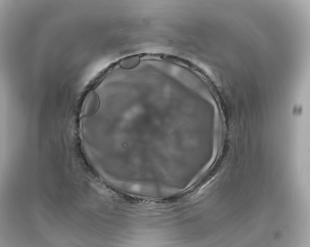 X0000091491263200709061853