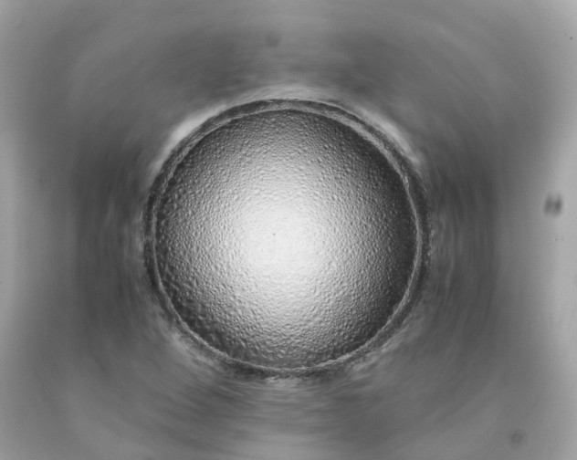 X0000091491264200709061853