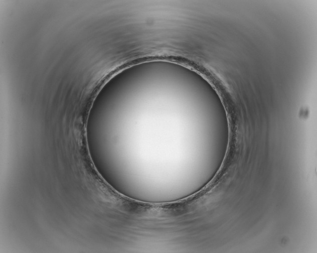 X0000091491265200709061853