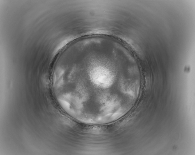 X0000091491266200709061853