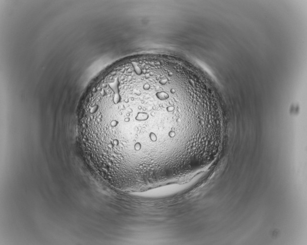 X0000091491267200709061853