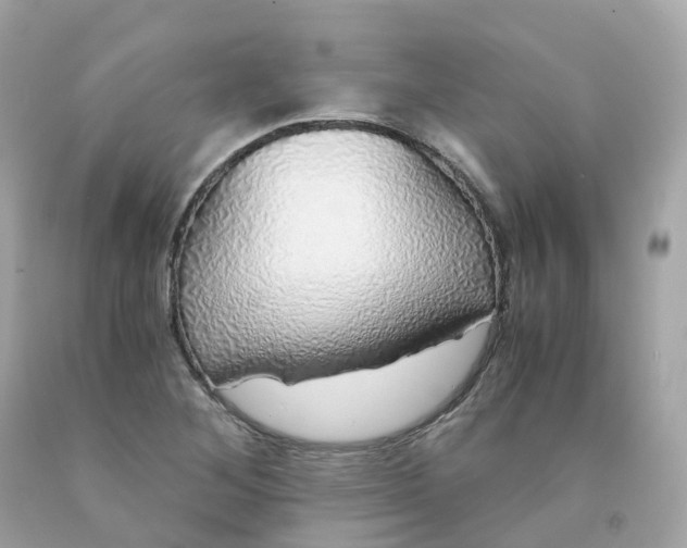 X0000091491268200709061853