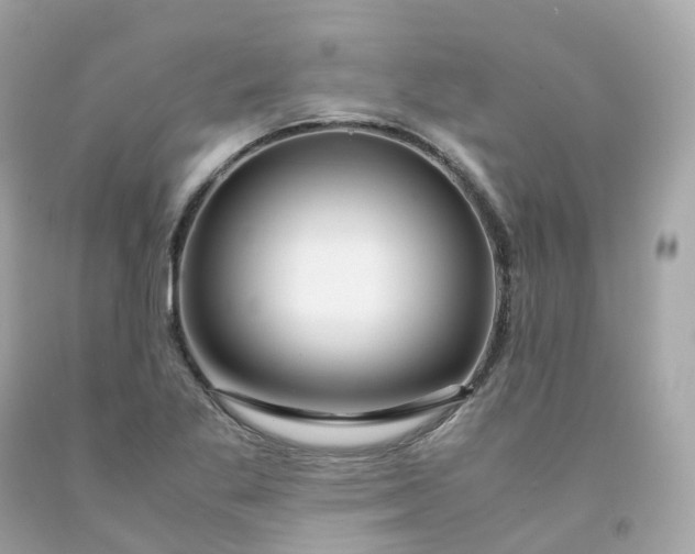 X0000091491269200709061853