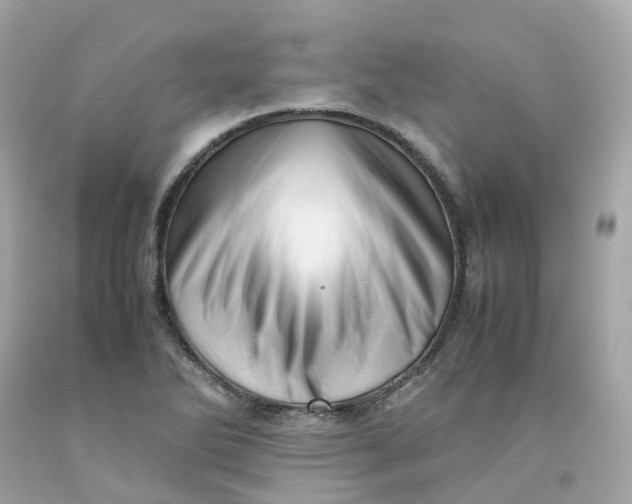 X0000091491270200709061853