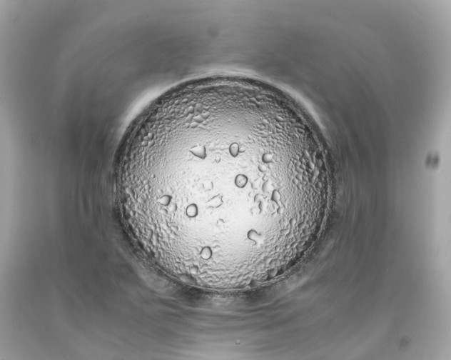 X0000091491271200709061853