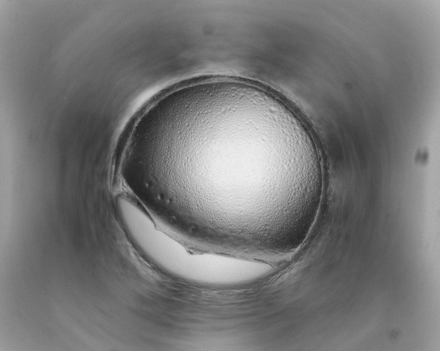 X0000091491272200709061853