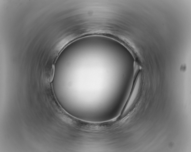 X0000091491273200709061853