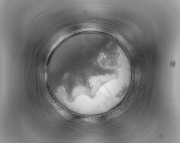 X0000091491274200709061853