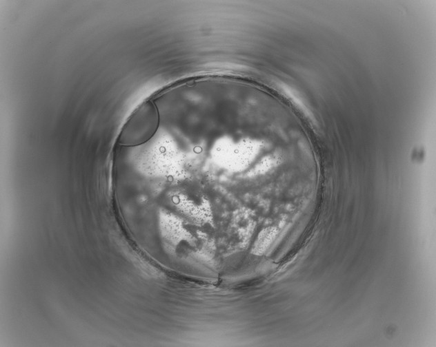 X0000091491275200709061853