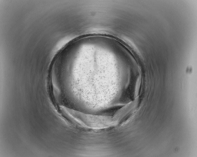 X0000091491277200709061853