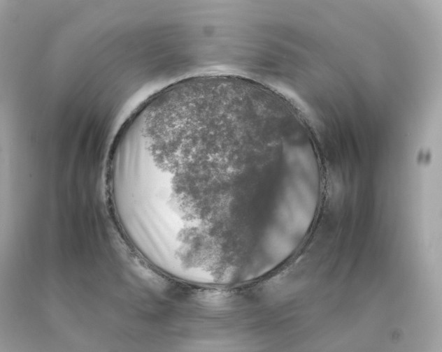 X0000091491278200709061853