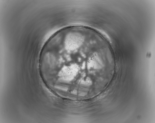 X0000091491279200709061853