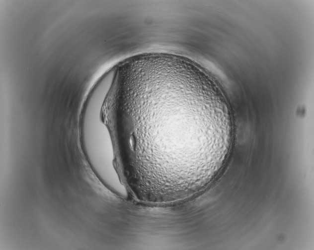 X0000091491280200709061853