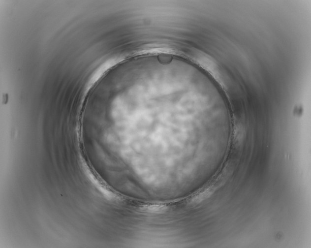 X0000091491282200709061853