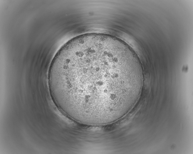 X0000091491283200709061853