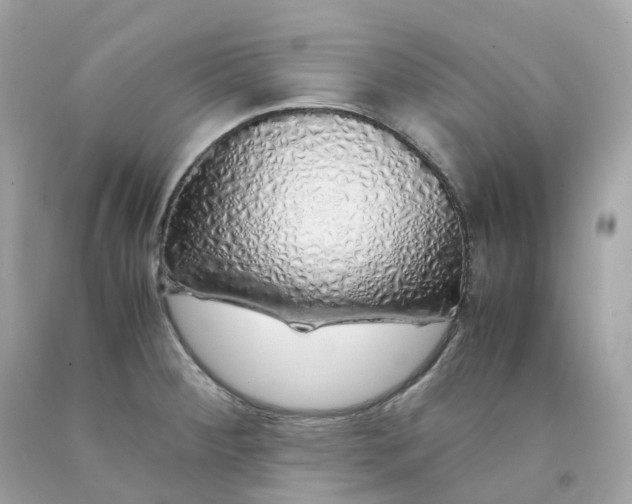 X0000091491284200709061853