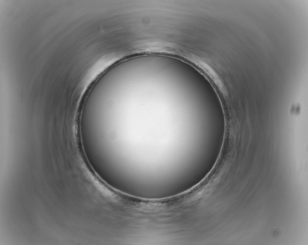 X0000091491285200709061853