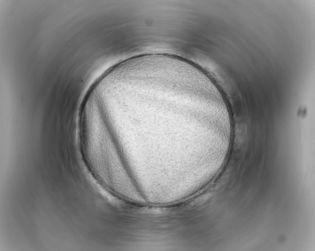 X0000091491286200709061853