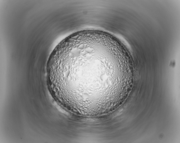 X0000091491287200709061853