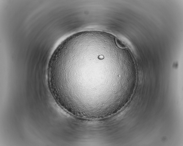 X0000091491288200709061853