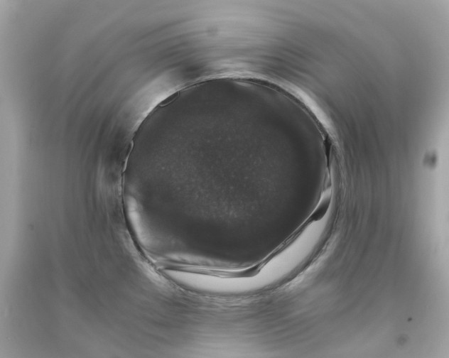 X0000091491289200709061853