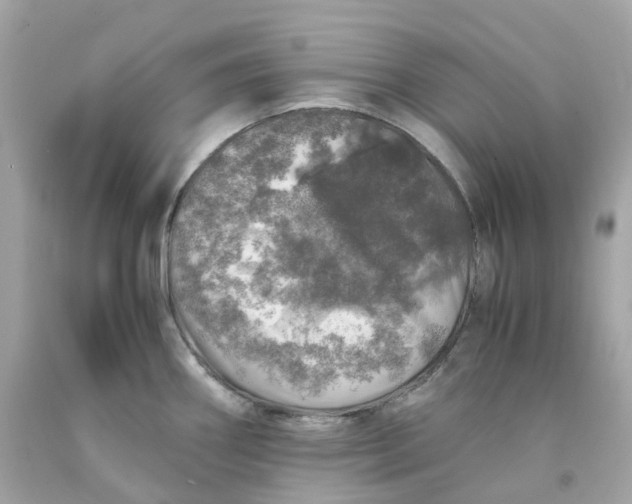 X0000091491290200709061853