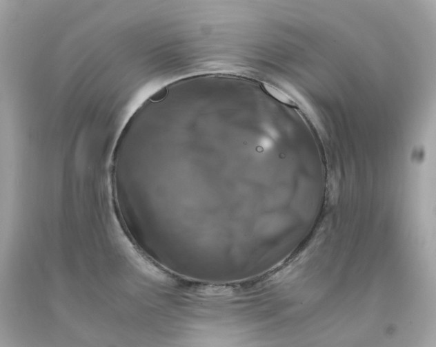 X0000091491291200709061852